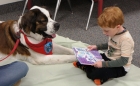 Lettura a quattro zampe: come la Pet Therapy migliora le abilità di lettura - Centro Synesis®