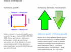 Tecniche di respirazione - Centro Synesis®